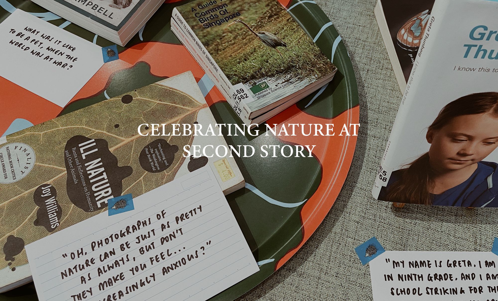 Celebrating Nature at Second Story
